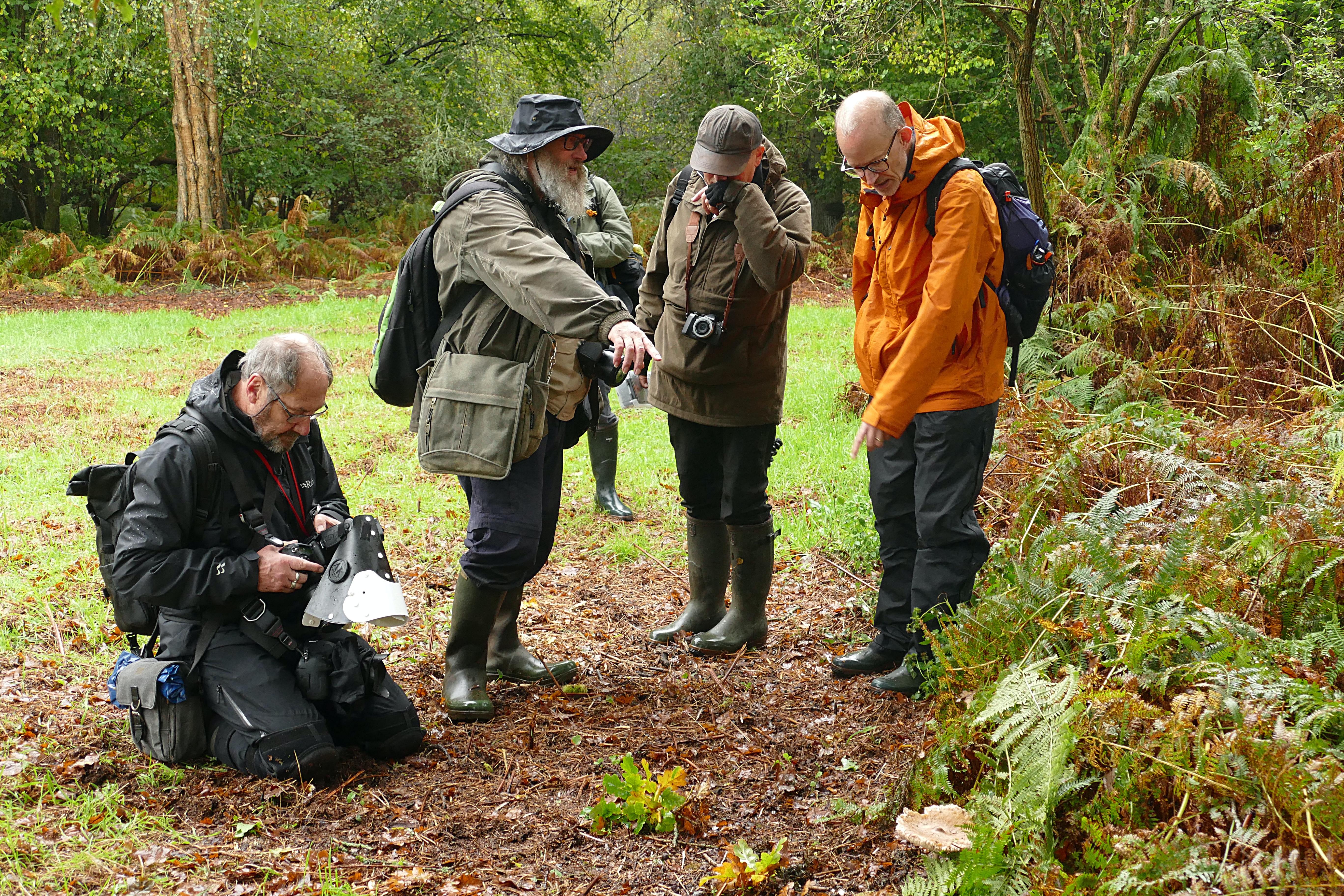 Barney Wood forayers 2023