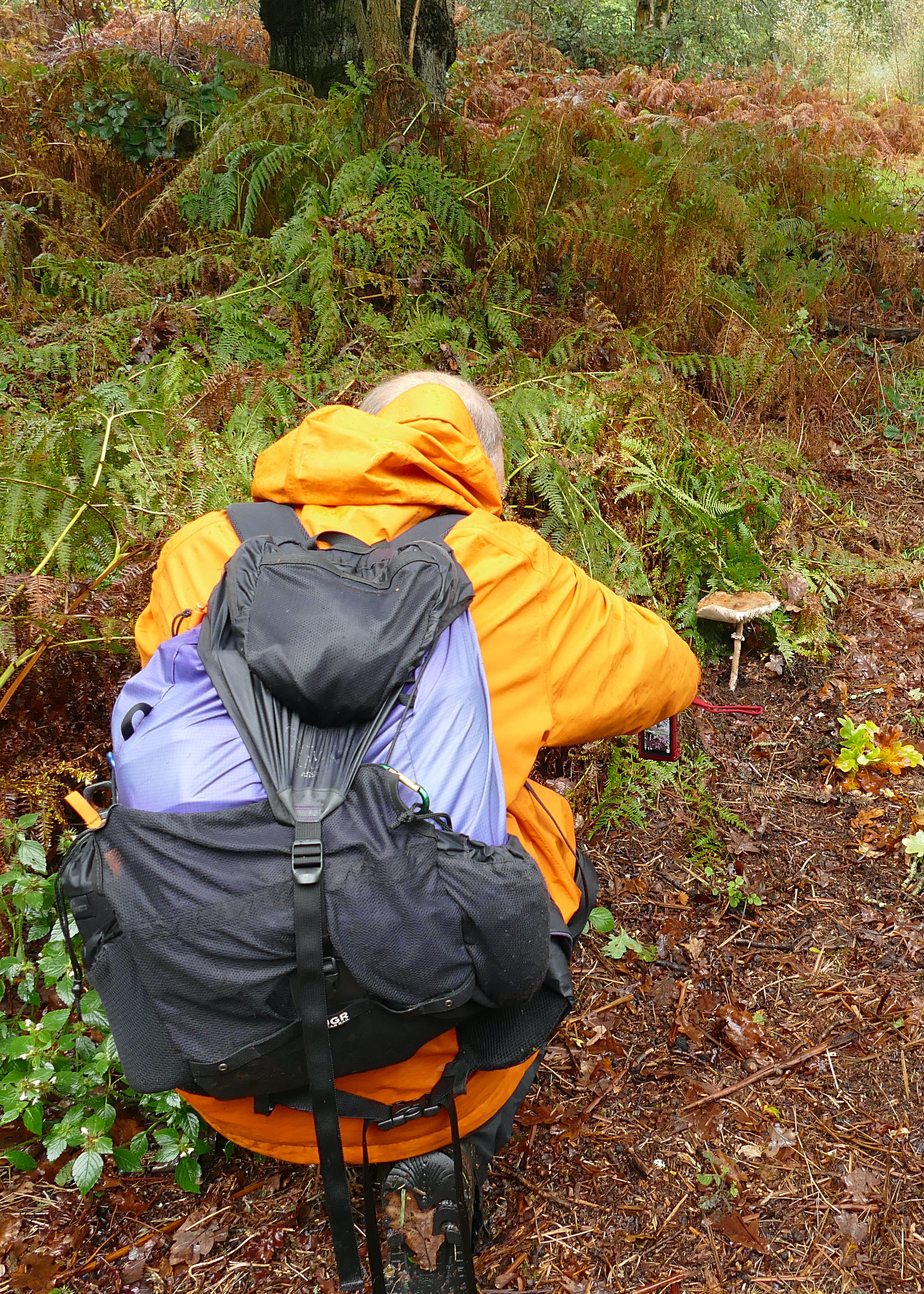 Barney Wood Jeremy 2023