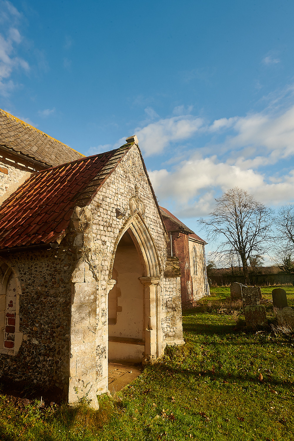 DSC_8044-NEF_DxO_DeepPRIMEXD