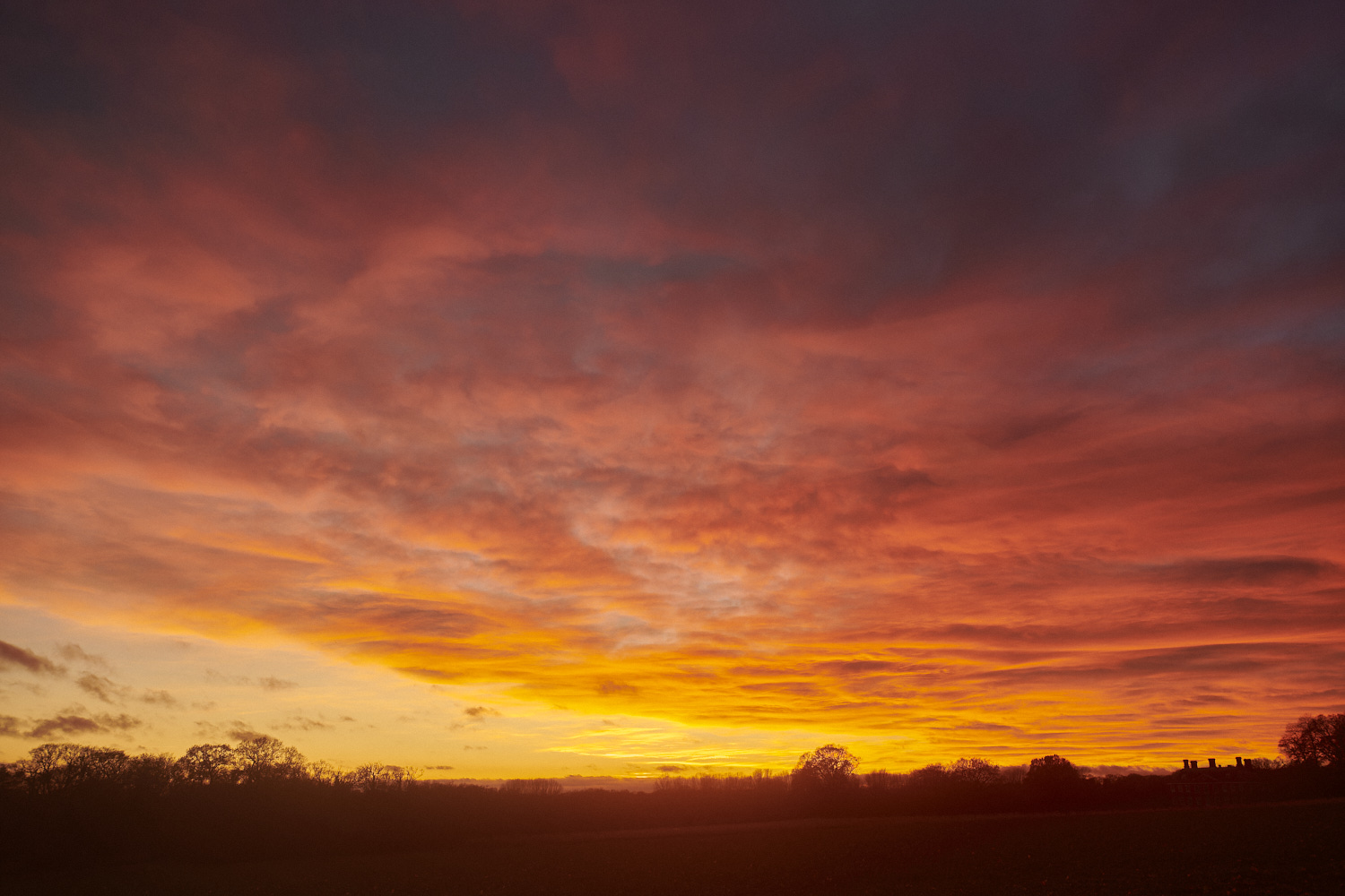 Hanworth16122301-NEF_DxO_DeepPRIMEXD 2