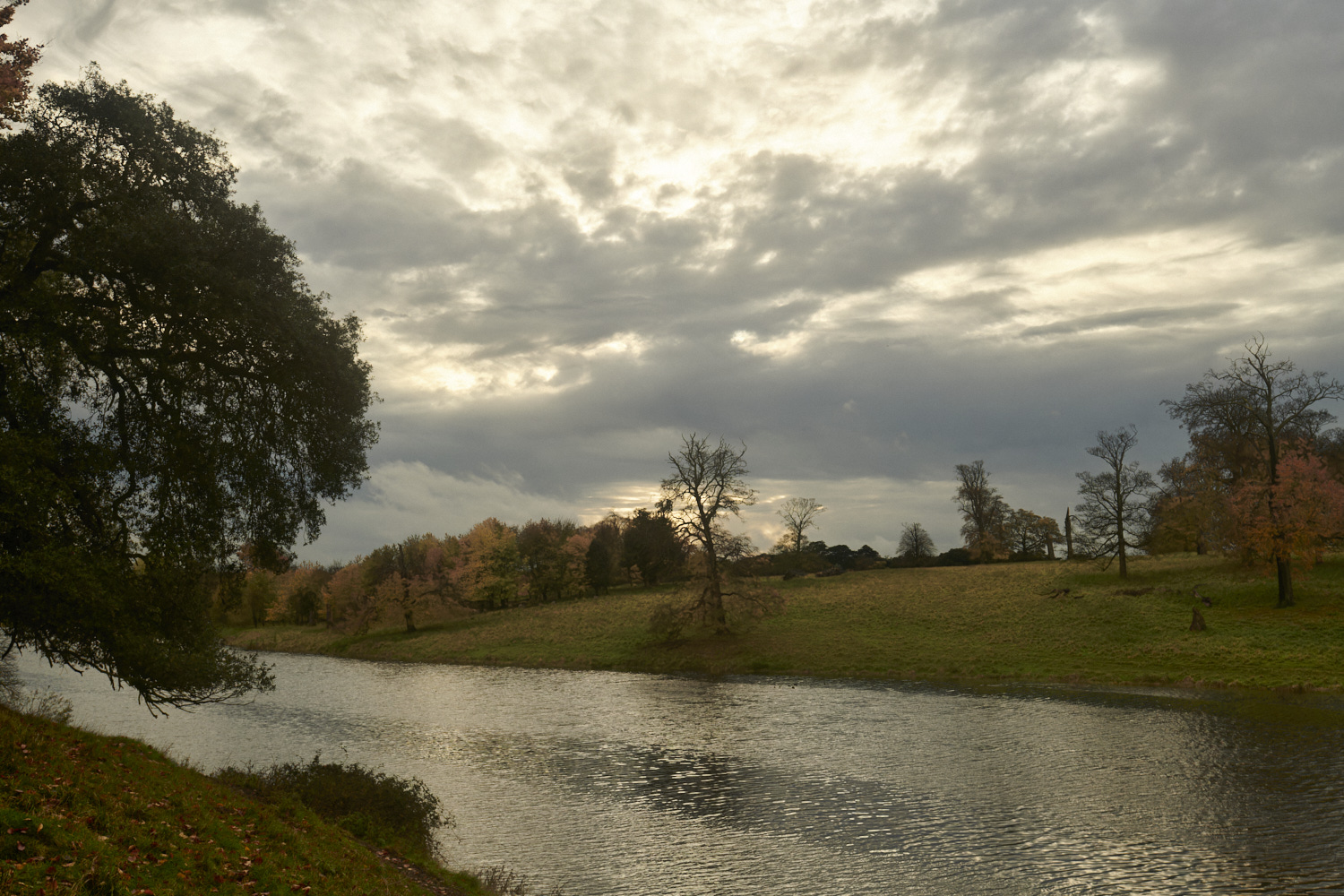 HolkhamParkNFSG161123-1-NEF_DxO_DeepPRIMEXD