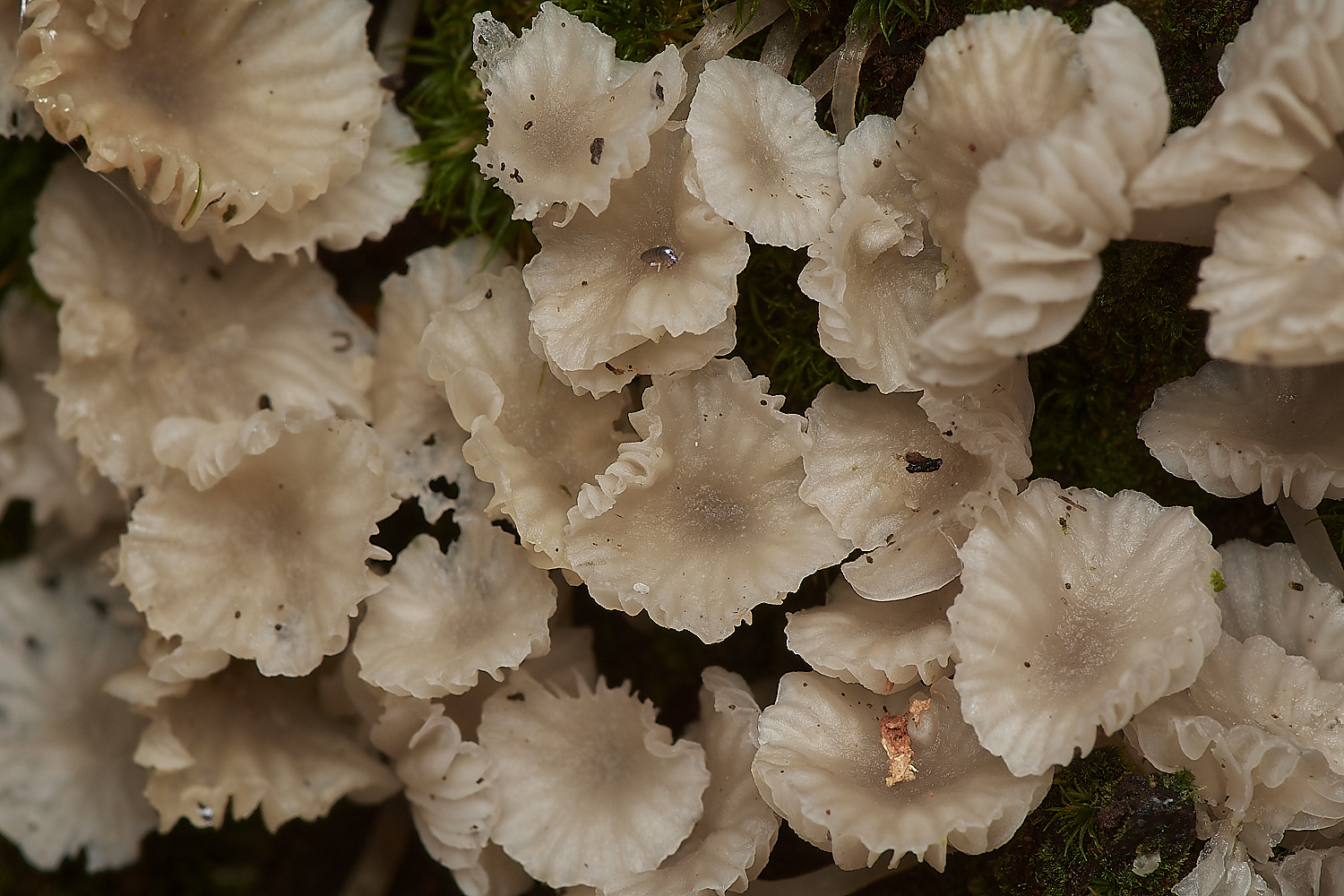 HoltCPUnknown151023-1-NEF_DxO_DeepPRIMEXD