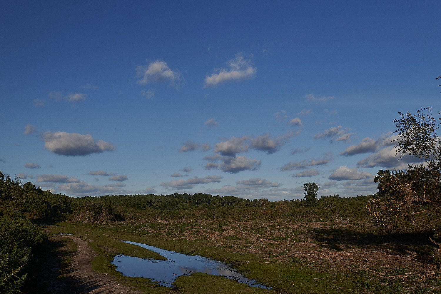 HoltLowes151023-4-NEF_DxO_DeepPRIMEXD