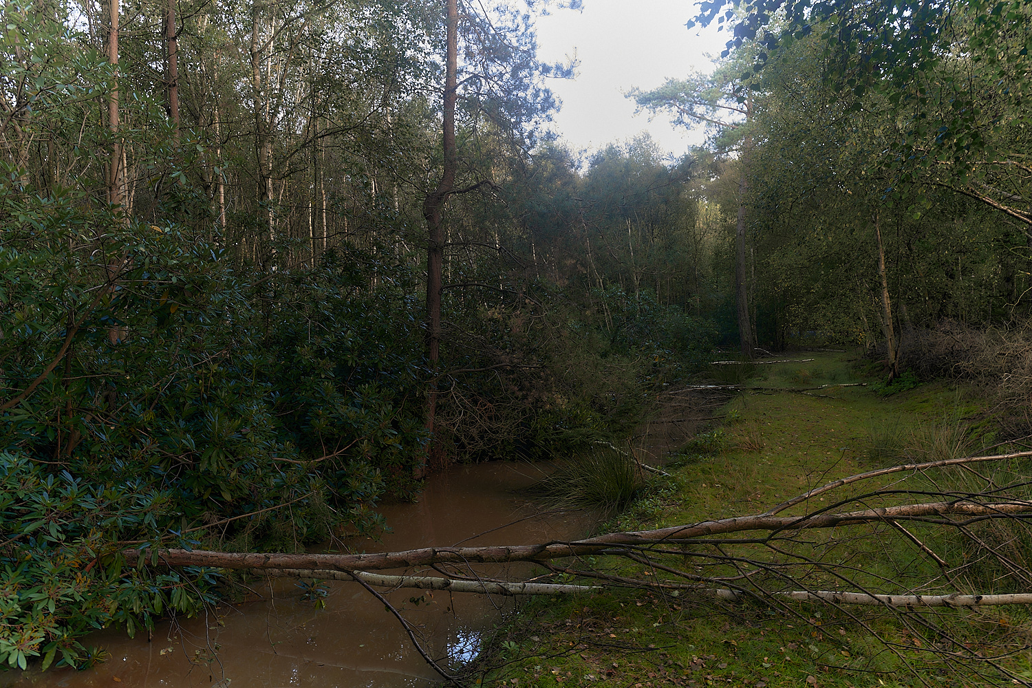 KenHill221023-2-NEF_DxO_DeepPRIMEXD 1