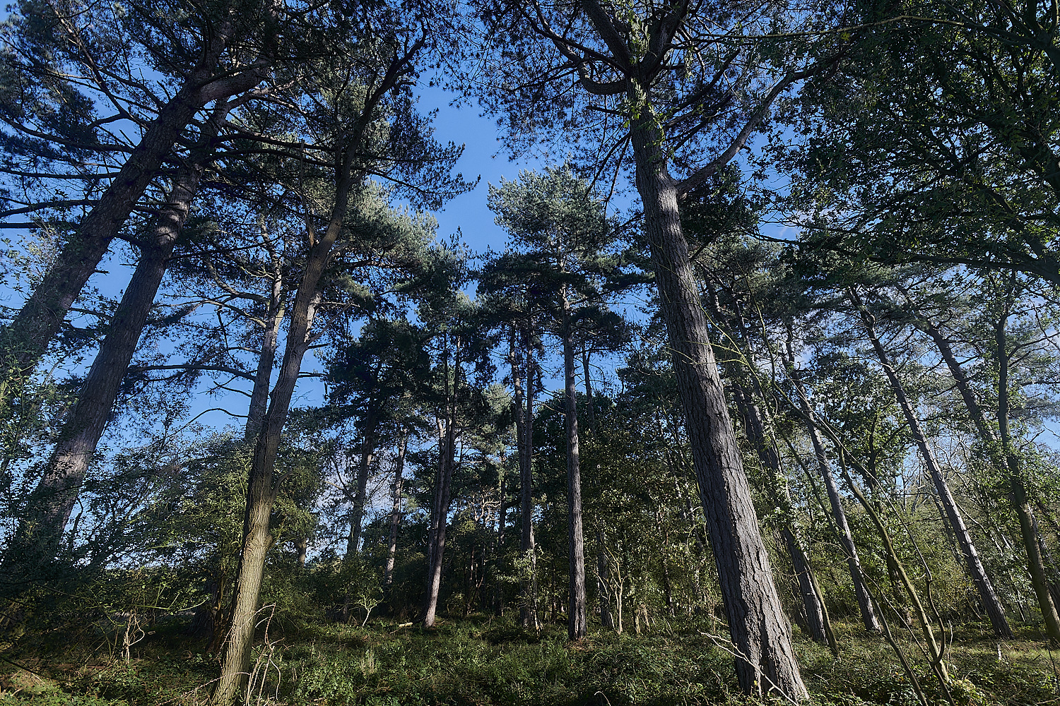 KenHill221023-8-NEF_DxO_DeepPRIMEXD