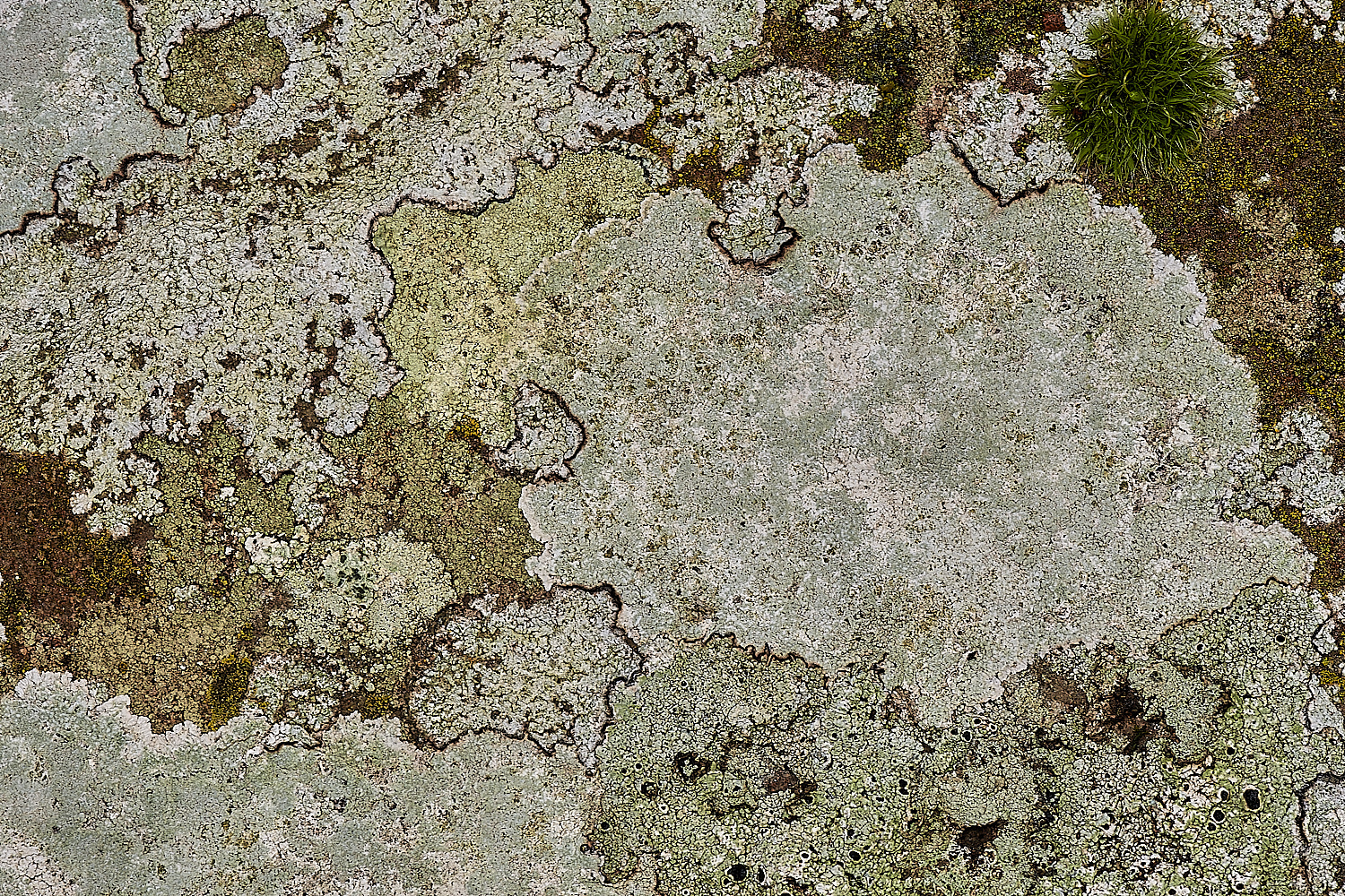 StPeter&PaulLichen5061223-1-NEF_DxO_DeepPRIMEXD