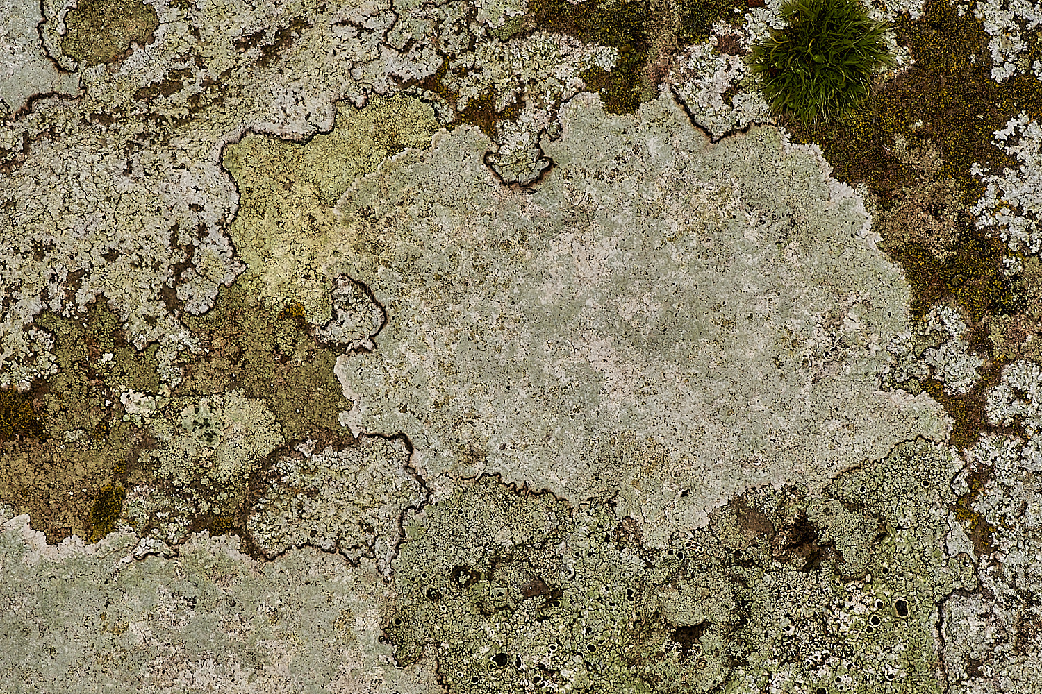 StPeter&PaulLichen5061223-2-NEF_DxO_DeepPRIMEXD