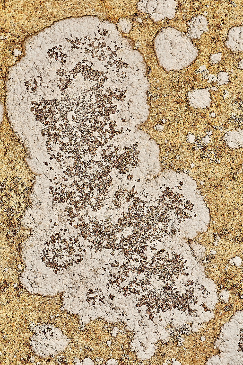 StPeter&PaulLichen7061223-2-NEF_DxO_DeepPRIMEXD