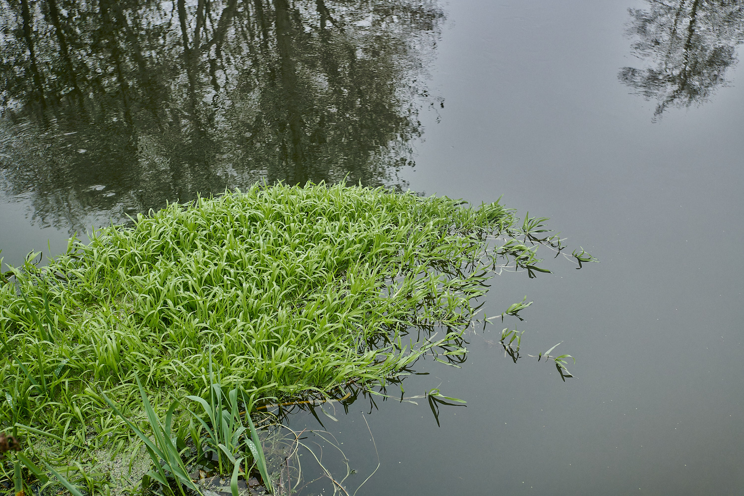 SweetBriarMarsh261123-10-NEF_DxO_DeepPRIMEXD