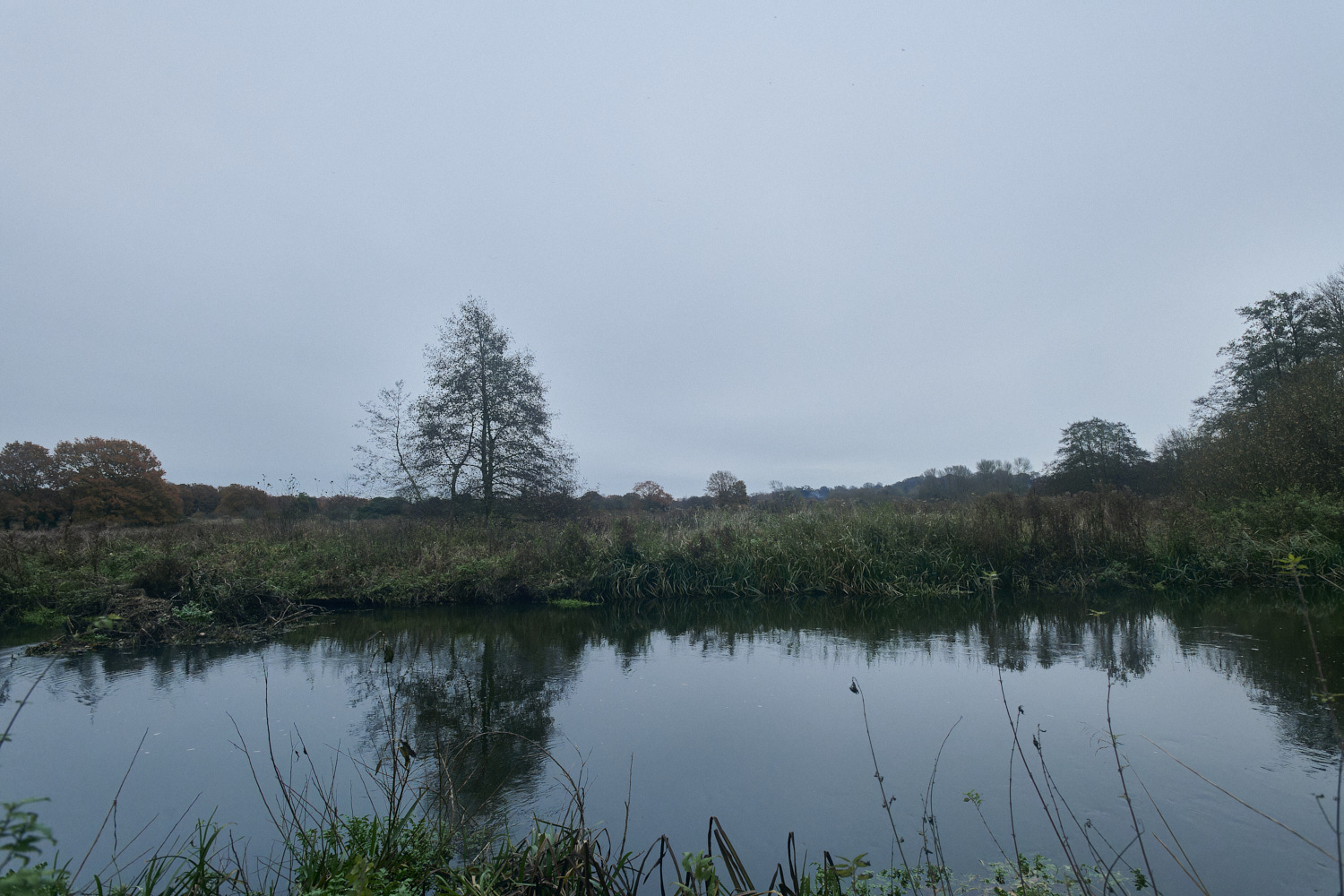 SweetBriarMarsh261123-11-NEF_DxO_DeepPRIMEXD