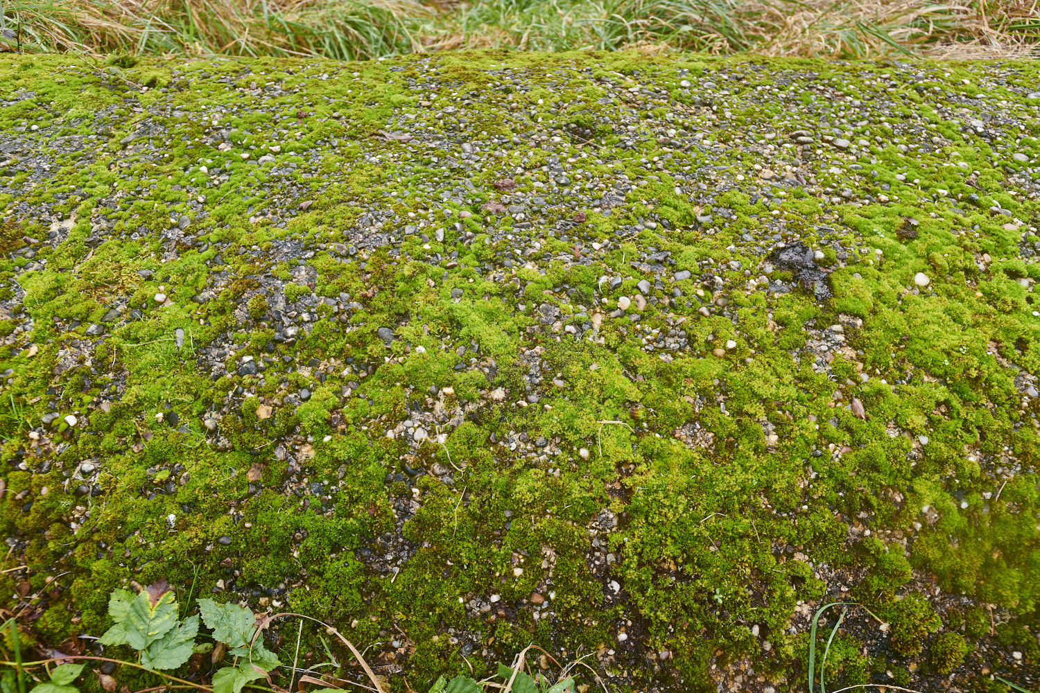 SweetBriarMarsh261123-9-NEF_DxO_DeepPRIMEXD