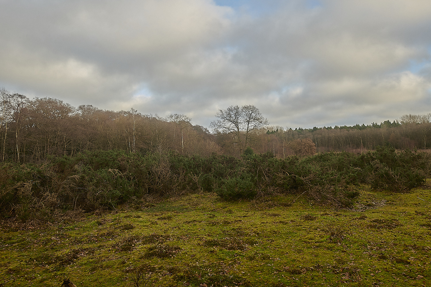 UogateCommon161223-6-NEF_DxO_DeepPRIMEXD 1