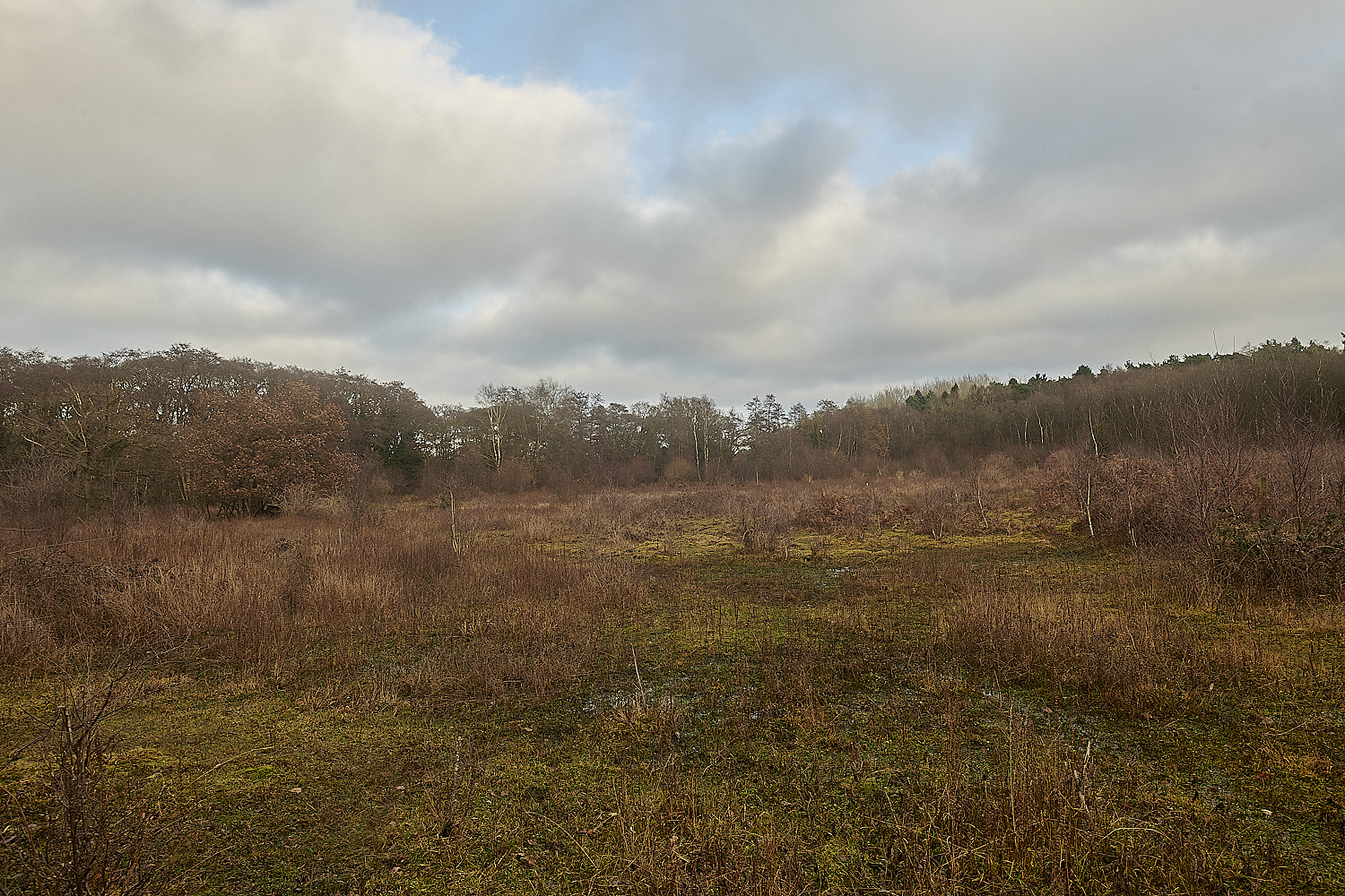 UogateCommon161223-8-NEF_DxO_DeepPRIMEXD 1